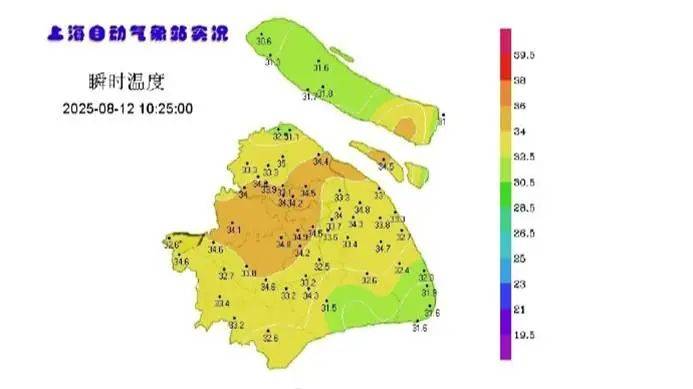 上海又登全国高温榜首！未来10天日夜连轴热，台风“杨柳”无法“送风解暑”