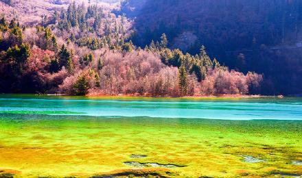 2026 구재구 완전정복! 고속도로 개통+30일 무비자=4시간 직달✨ 韩国人만 아는 꿀팁 10종