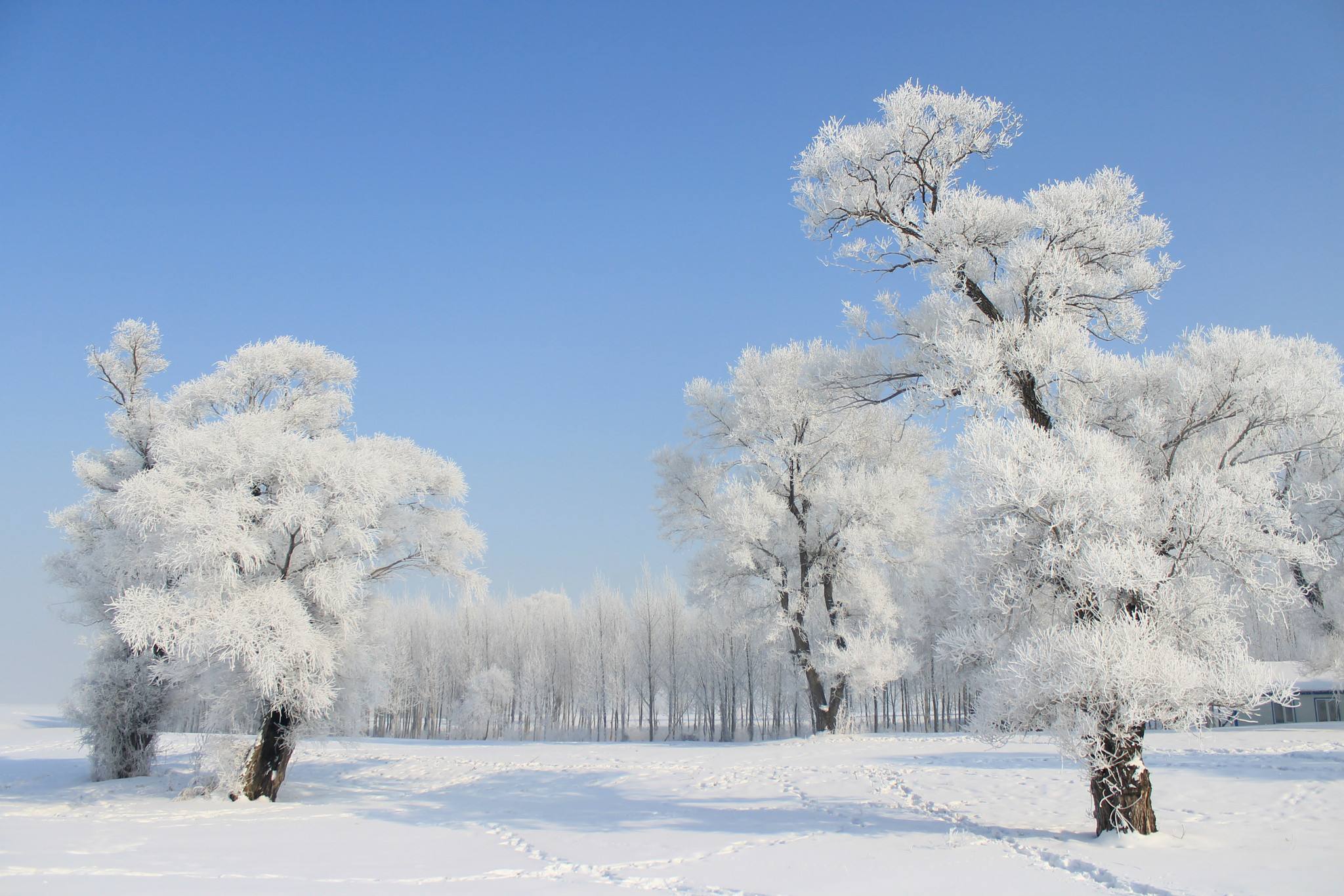 中国冬季旅游全攻略：邂逅冰雪奇缘与暖冬秘境