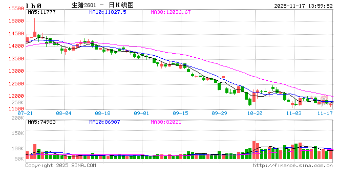 生猪屠宰毛利:历史毛利运行态势以及2026年预判