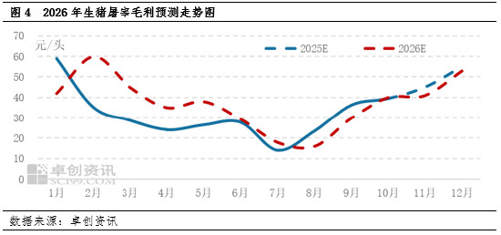 生猪屠宰毛利:历史毛利运行态势以及2026年预判