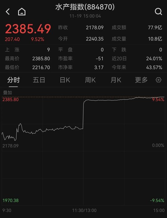 涨停潮！一则消息，彻底引爆！