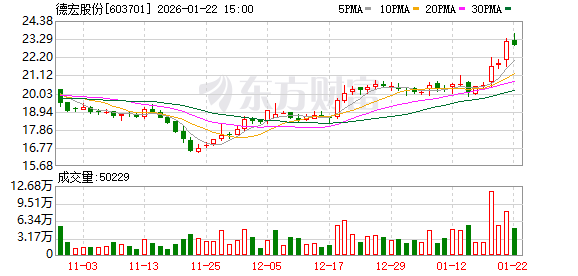 德宏股份：2025年年度业绩预告