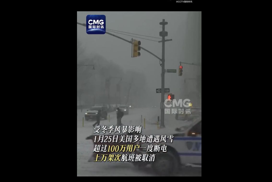 美国芝加哥出现负电价,发生了什么?