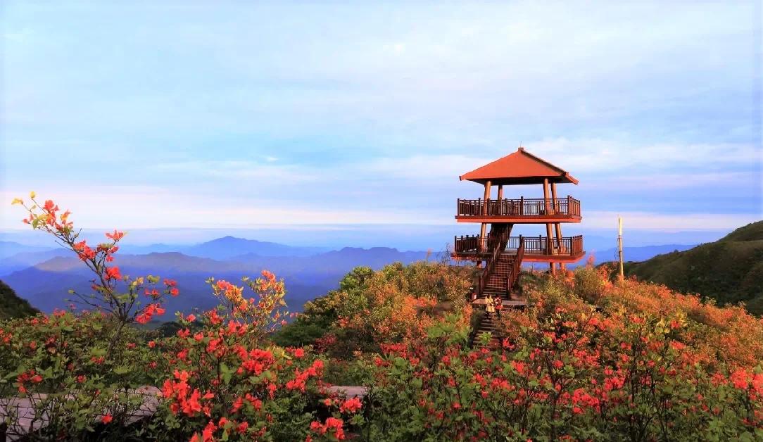 大围山国家森林公园旅游攻略(大围山风景名胜区)